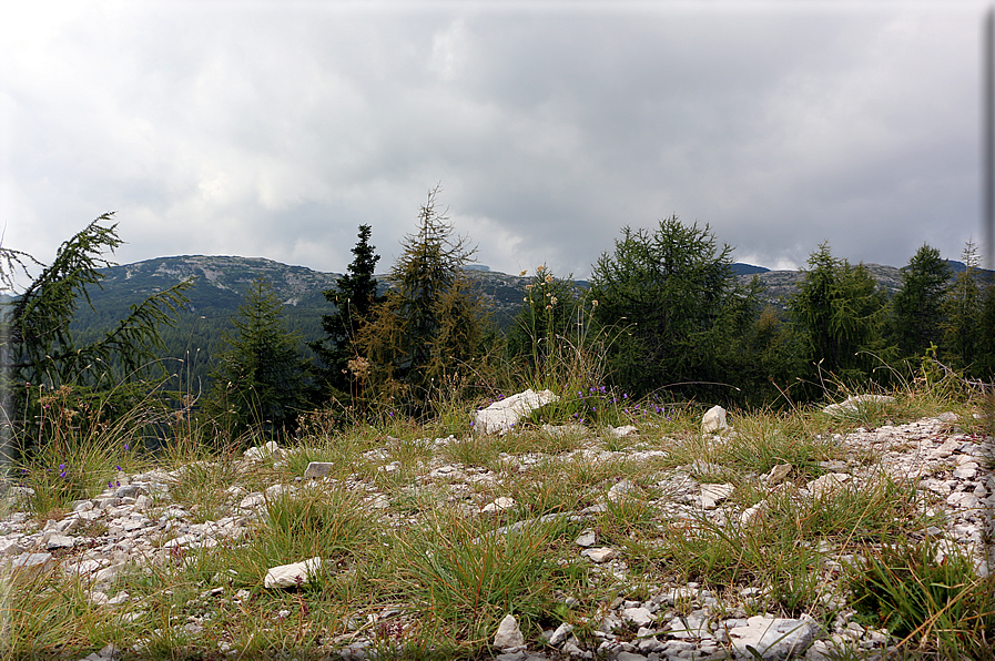 foto Trincee sul Monte Lozze